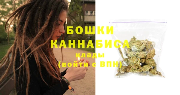 стаф Вязьма