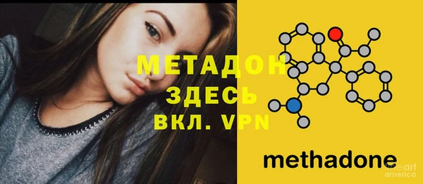 стаф Вязьма