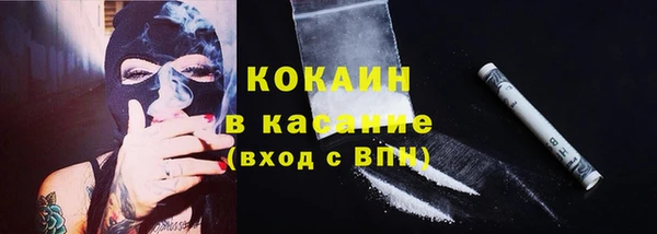 стаф Вязьма