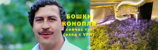 стаф Вязьма