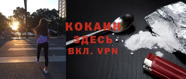 стаф Вязьма