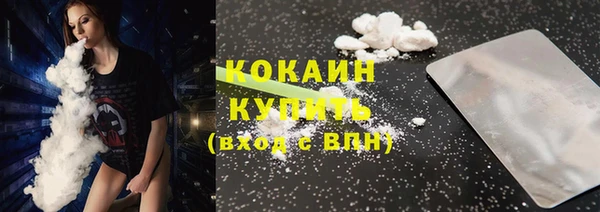 стаф Вязьма