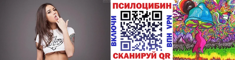 Псилоцибиновые грибы Psilocybine cubensis  Тимашёвск 